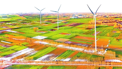 拉尼娜狀態(tài)持續(xù)，專家支招——分類精準(zhǔn)管理促小麥育壯苗安全越冬